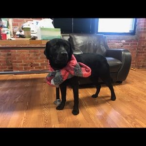 Meet your Posher, Connor